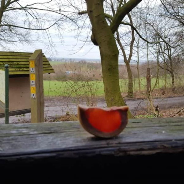 Yoga-Meditation-Stille